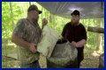   Why do Moonshiners use a raccoon pecker to distil their liquor?    Thu 28 October 2021 12:26    Helen Williams    