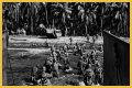 WWII's Most Daring Raids - Smithsonian Channel